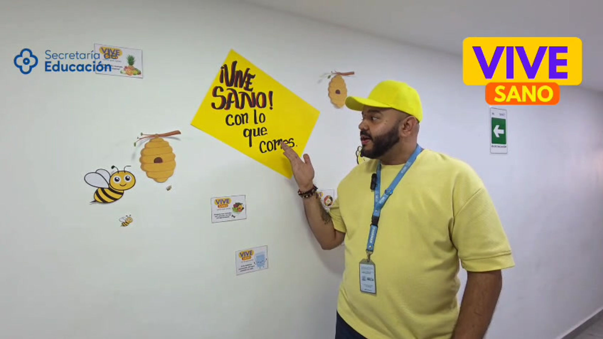 Proceso de decoración